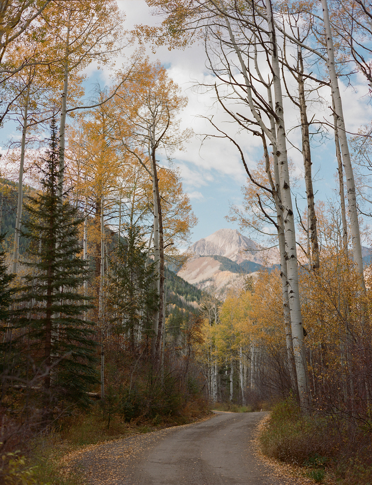 Aspen Colorado mountain road with fall aspen trees