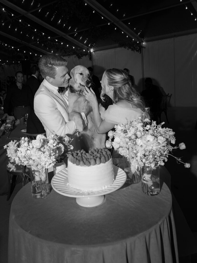 couple cutting cake with dog at Aspen wedding reception